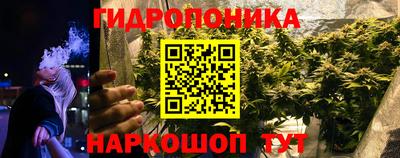 кокс Гусев