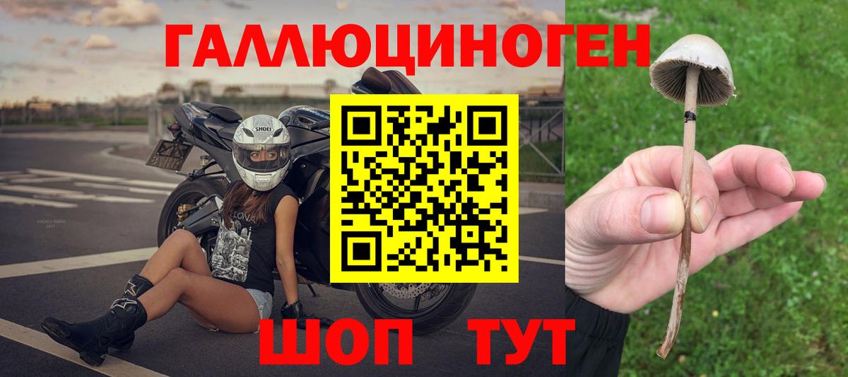 купить наркотики цена  Вход с VPN  Новоалександровск  Галлюциногенные грибы мицелий 